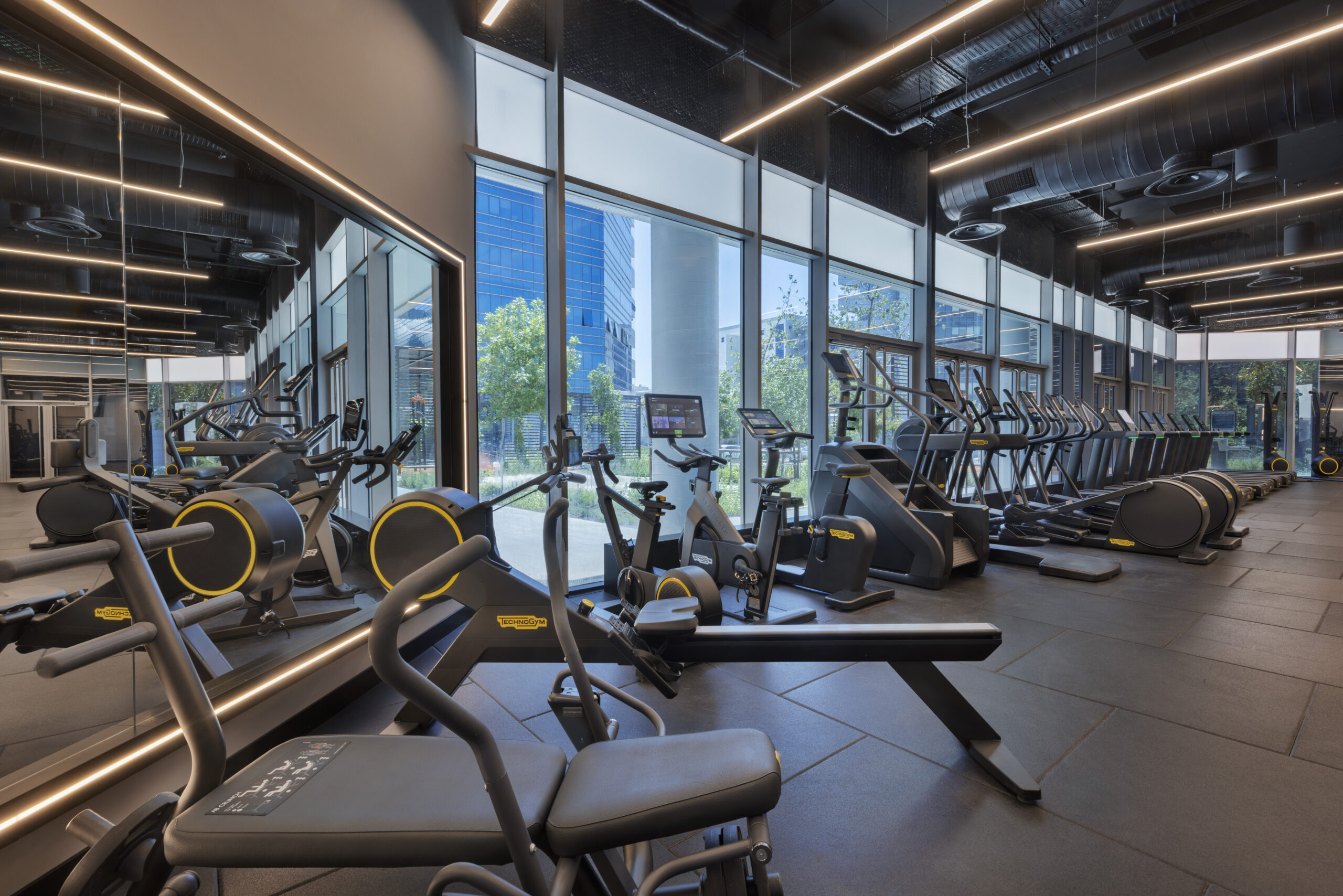 5436_Assaf Pinchuk Photography