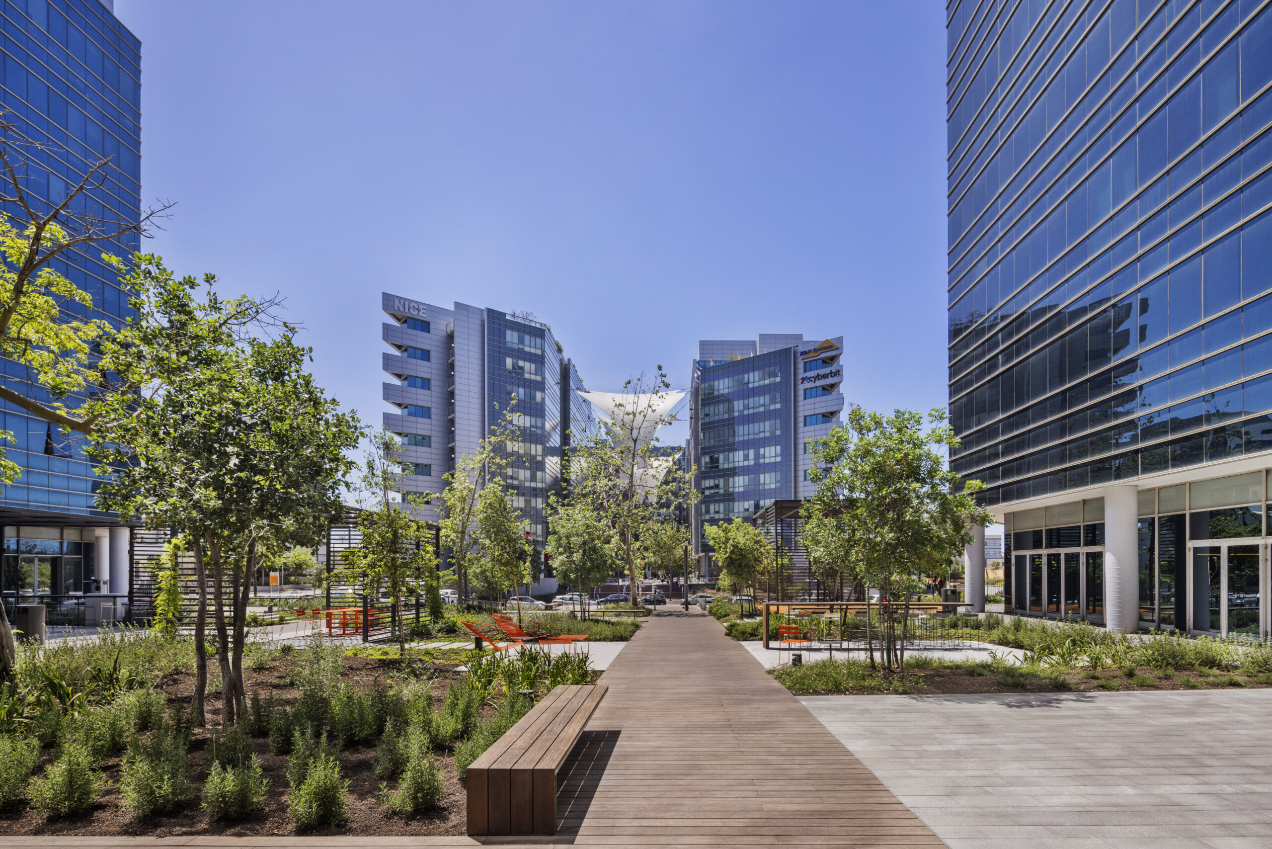 5448_Assaf Pinchuk Photography