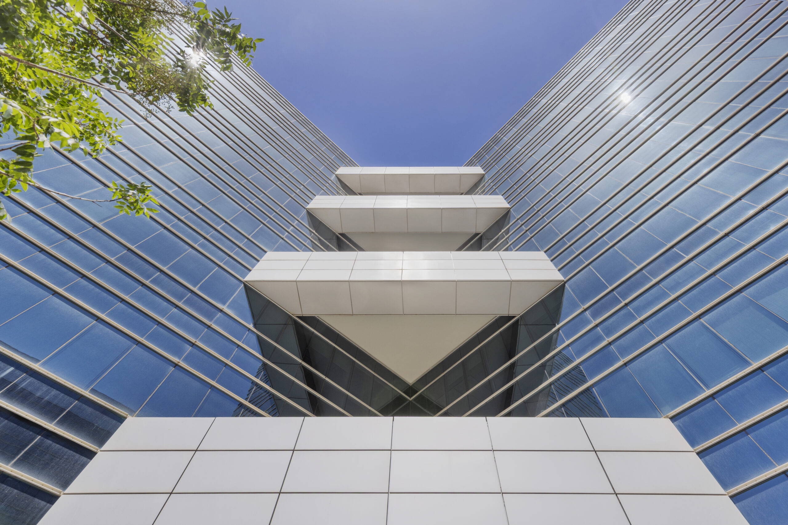 5500_Assaf Pinchuk Photography