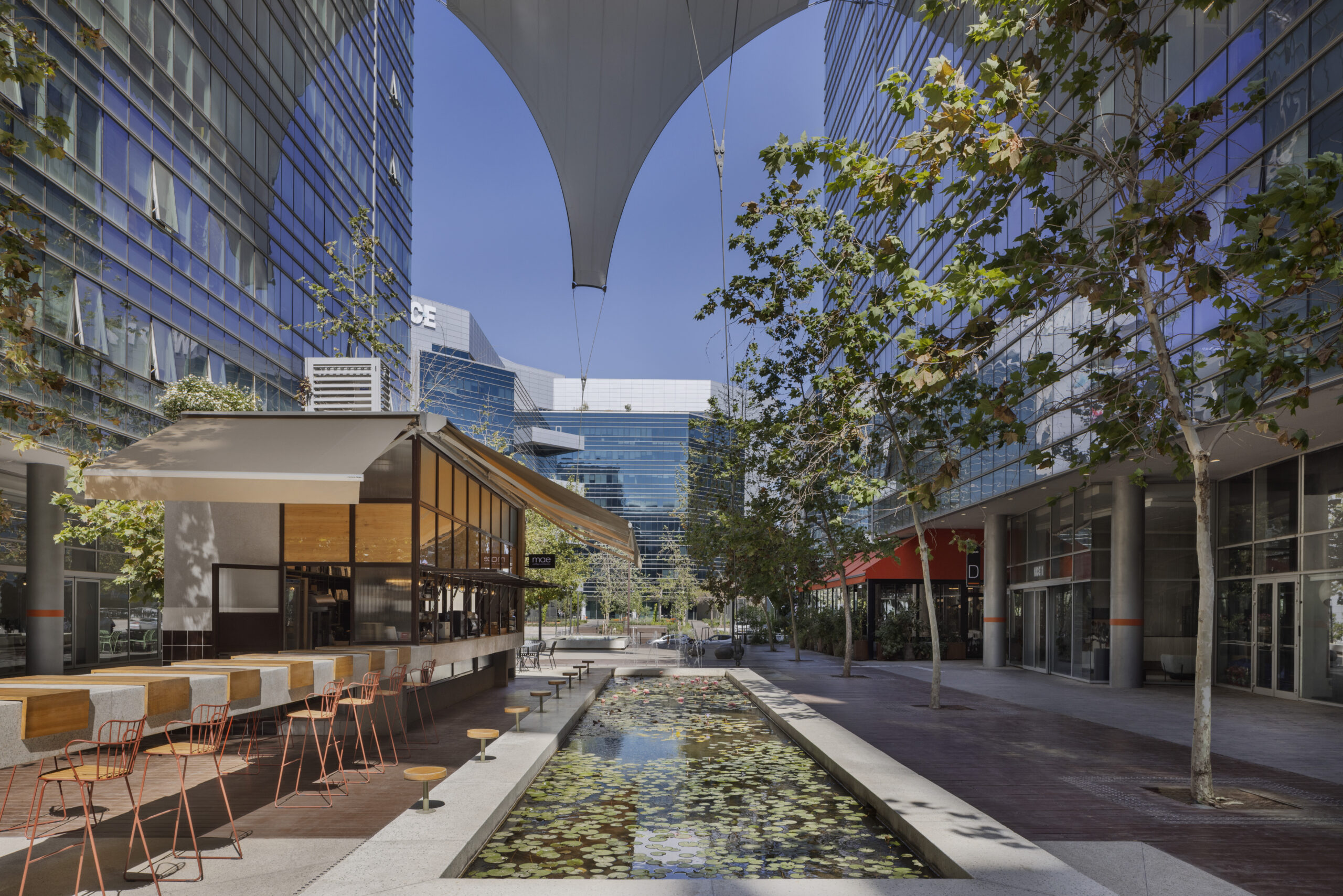 5551_Assaf Pinchuk Photography