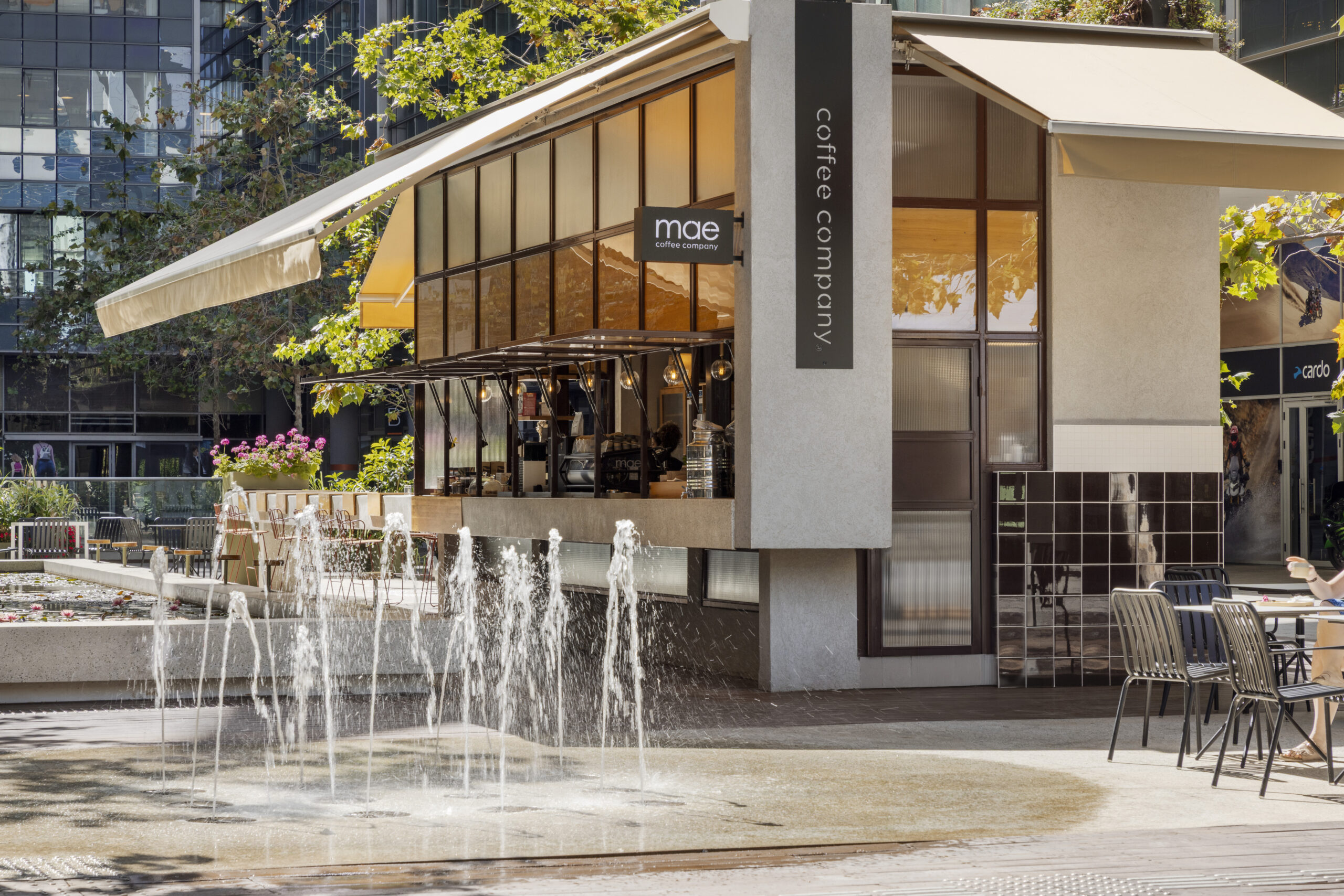 5587_Assaf Pinchuk Photography