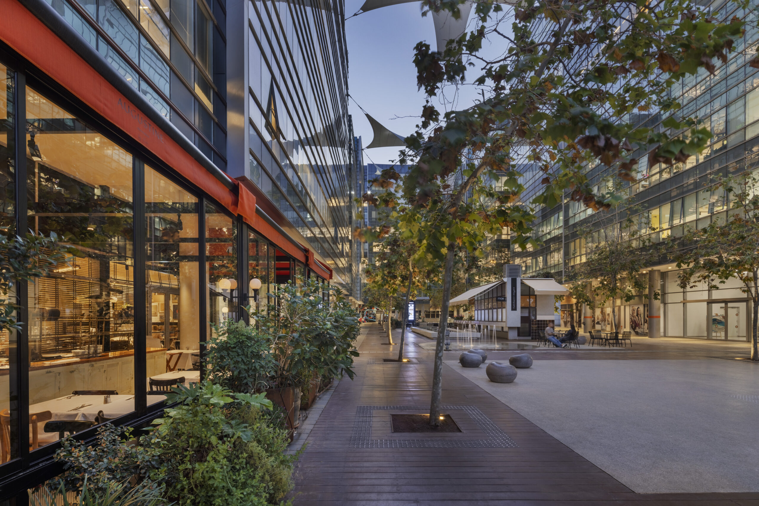 5968_Assaf Pinchuk Photography